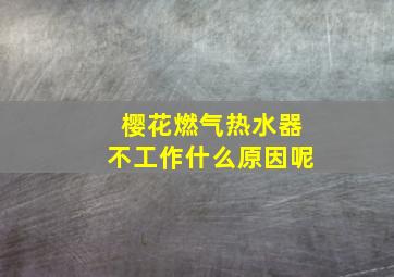 樱花燃气热水器不工作什么原因呢