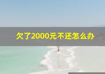 欠了2000元不还怎么办