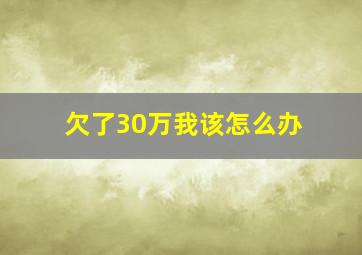 欠了30万我该怎么办