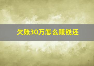 欠账30万怎么赚钱还