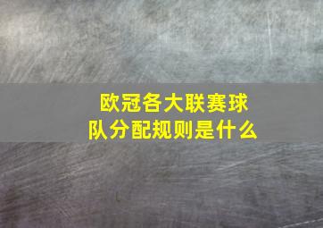 欧冠各大联赛球队分配规则是什么