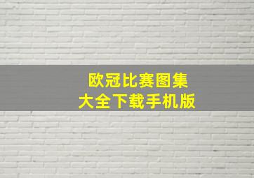 欧冠比赛图集大全下载手机版