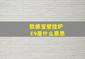 欧德宝壁挂炉E9是什么意思