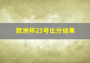 欧洲杯23号比分结果