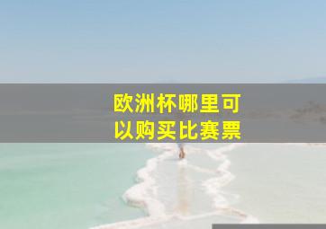 欧洲杯哪里可以购买比赛票