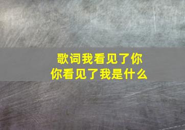 歌词我看见了你你看见了我是什么