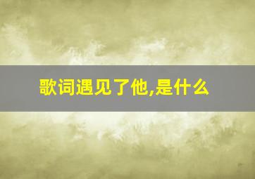 歌词遇见了他,是什么