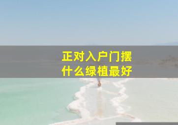 正对入户门摆什么绿植最好