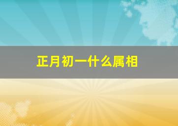 正月初一什么属相