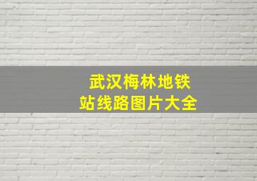 武汉梅林地铁站线路图片大全