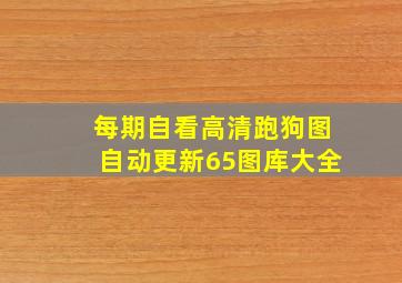 每期自看高清跑狗图自动更新65图库大全