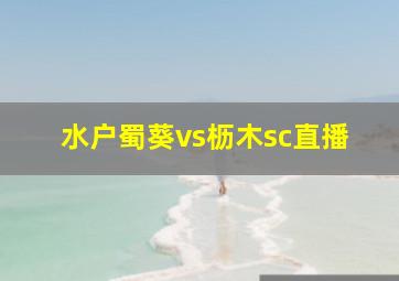 水户蜀葵vs枥木sc直播