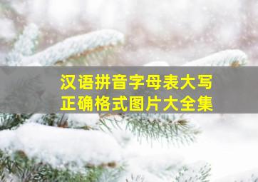 汉语拼音字母表大写正确格式图片大全集