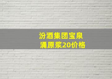 汾酒集团宝泉涌原浆20价格