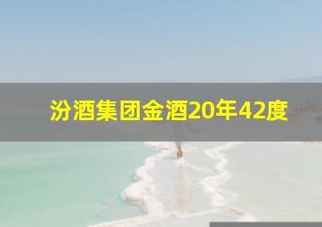 汾酒集团金酒20年42度