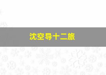 沈空导十二旅