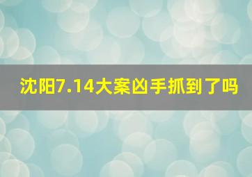 沈阳7.14大案凶手抓到了吗