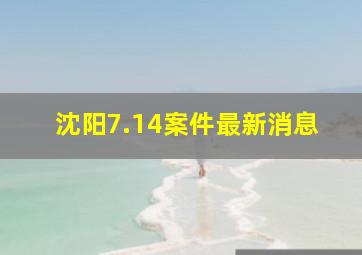 沈阳7.14案件最新消息