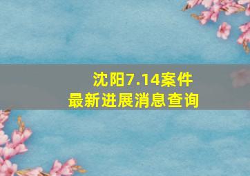 沈阳7.14案件最新进展消息查询