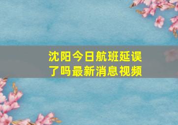 沈阳今日航班延误了吗最新消息视频