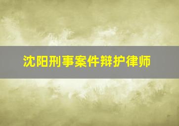 沈阳刑事案件辩护律师