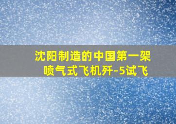 沈阳制造的中国第一架喷气式飞机歼-5试飞