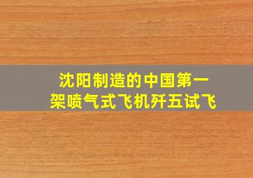 沈阳制造的中国第一架喷气式飞机歼五试飞