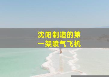 沈阳制造的第一架喷气飞机