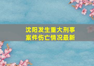 沈阳发生重大刑事案件伤亡情况最新