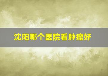 沈阳哪个医院看肿瘤好