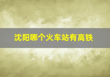 沈阳哪个火车站有高铁