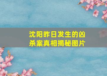 沈阳昨日发生的凶杀案真相揭秘图片