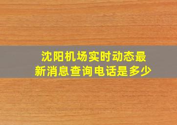 沈阳机场实时动态最新消息查询电话是多少