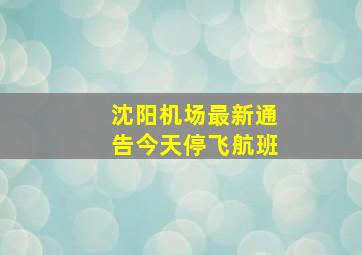 沈阳机场最新通告今天停飞航班