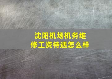 沈阳机场机务维修工资待遇怎么样