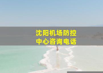 沈阳机场防控中心咨询电话