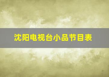 沈阳电视台小品节目表