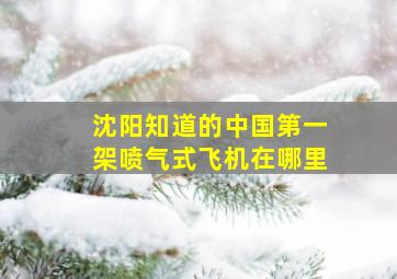 沈阳知道的中国第一架喷气式飞机在哪里