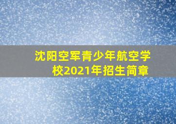 沈阳空军青少年航空学校2021年招生简章