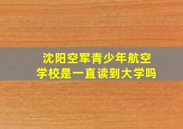 沈阳空军青少年航空学校是一直读到大学吗