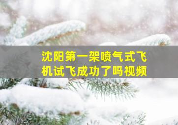 沈阳第一架喷气式飞机试飞成功了吗视频