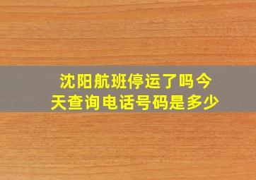 沈阳航班停运了吗今天查询电话号码是多少