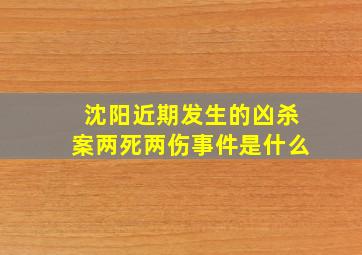 沈阳近期发生的凶杀案两死两伤事件是什么