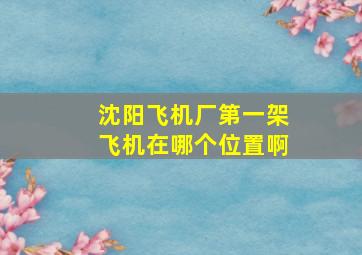 沈阳飞机厂第一架飞机在哪个位置啊