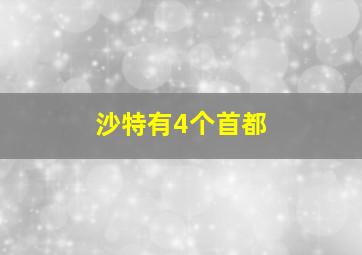 沙特有4个首都