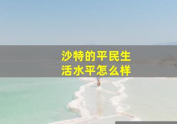 沙特的平民生活水平怎么样