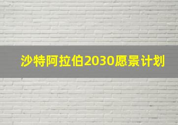 沙特阿拉伯2030愿景计划