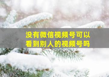 没有微信视频号可以看到别人的视频号吗