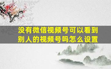 没有微信视频号可以看到别人的视频号吗怎么设置