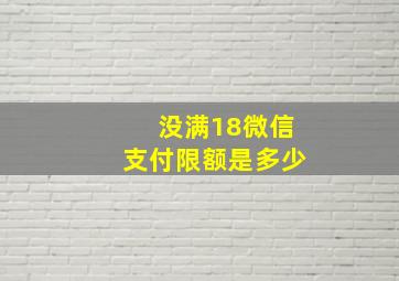 没满18微信支付限额是多少